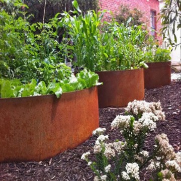 rusted steel edging