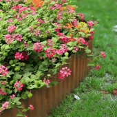 Corten Garden Borgure pour la maison